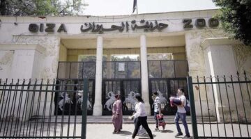 متى هتفتح حديقة الحيوان وأهم الحيوانات الجديدة فيها