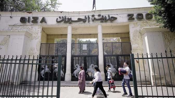 متى هتفتح حديقة الحيوان وأهم الحيوانات الجديدة فيها