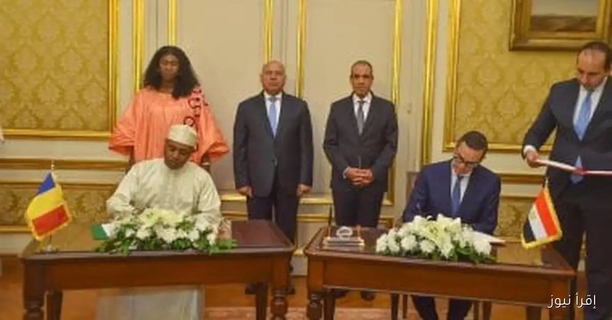 مصر تعلن عن رغبتها في التعاون مع تشاد لتنفيذ اتفاقية منطقة التجارة الحرة