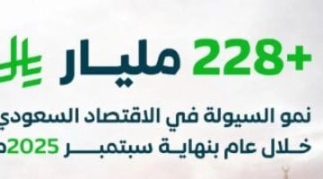نمو السيولة في الاقتصاد السعودي يتجاوز 228 مليار ريال خلال