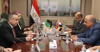 وزير الكهرباء يعلن عن سبل جديدة للتعاون مع نظيره الجزائري في مجالات الطاقة