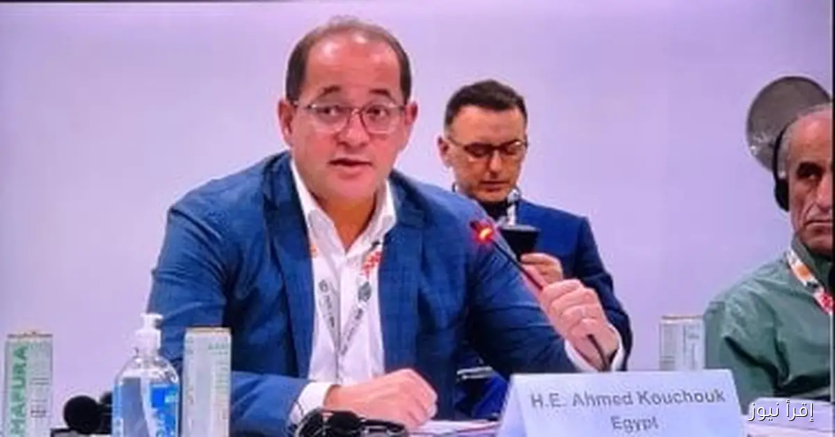 وزير المالية يكشف عن تطلعات لدور أكبر للمؤسسات الدولية في التمويل الأخضر الميسر