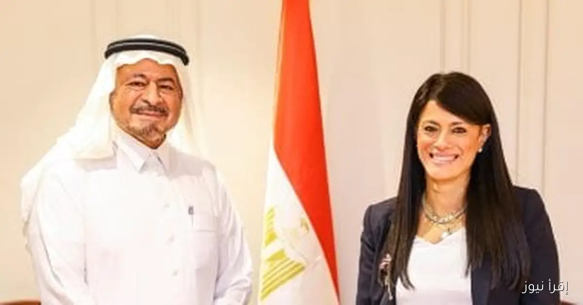 وزيرة التخطيط تعلن عن سبل التعاون مع رئيس مجموعة مستشفيات السعودي الألماني