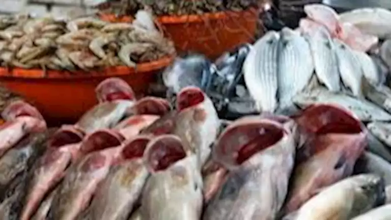 زيادة أسعار البلطي والمأكولات البحرية في سوق العبور اليوم