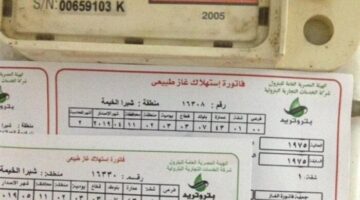 1764670259 كيفية تسجيل قراءة عداد الغاز لشركة بتروتريد 2025 ووسائل دفع
