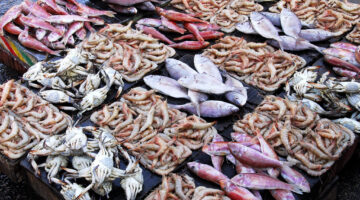 3296785687 a5c743165c b