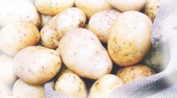 FVGUYDJISKFJHDJKSL e1764337248685