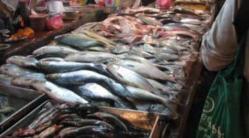 chowkitwet 20190605221429