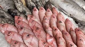 images 2025 12 07T150215.394