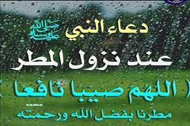 images 2025 12 08T131137.081