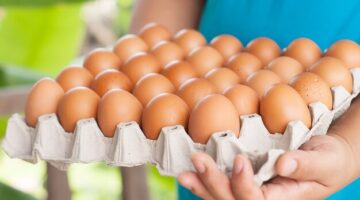 man holding carton eggs 37274 29