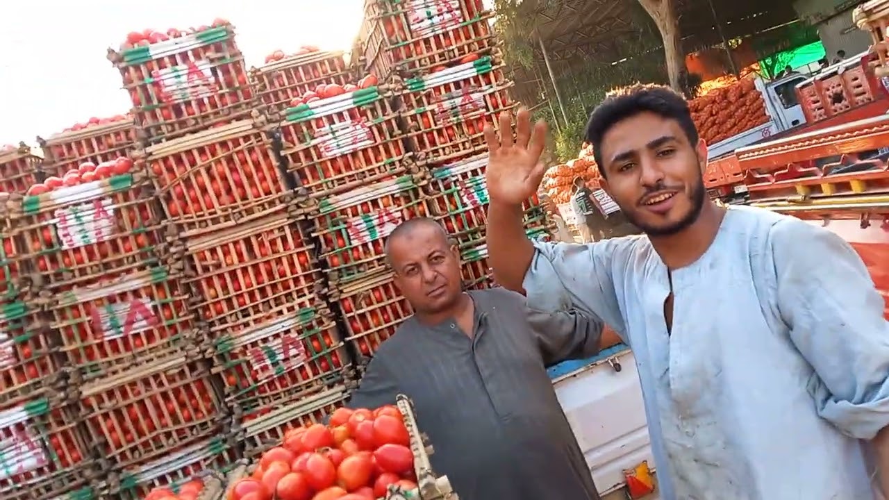 أسعار الخضروات في سوق العبور اليوم الاحد 28 ديسمبر 2025 بجميع الأنواع.. الطماطم بـ 10 جنيه