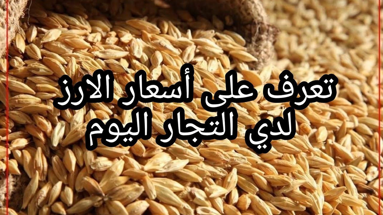 أسعار الأرز الشعير اليوم الاثنين 21 ديسمبر 2025 للمستهلك والتاجر في السوق المصري