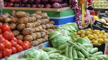 أسعار الخضروات والفاكهة 1