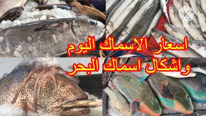 الكيلو بكام ؟ .. أسعار السمك اليوم للمستهلك الاحد 14 ديسمبر 2025 في الأسواق