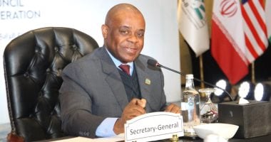 أمين عام مجموعة الثماني النامية يعلن أهمية التنسيق لتحقيق أفضل استفادة من فرص التكامل