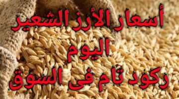 اسعار الأرز الشعير اليوم
