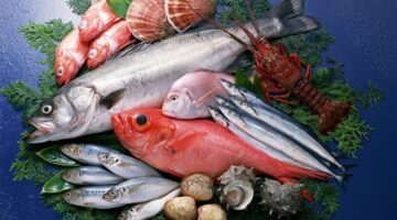 اسعار السمك اليوم