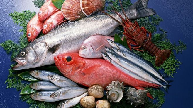 اسعار السمك اليوم في سوق العبور الاحد 21-12-2025 .. كيلو البلطي بكام؟