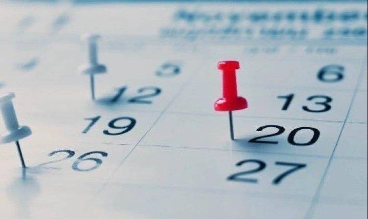 هل يوم 1 يناير 2026 إجازة رسمية في مصر؟ مجلس الوزارء يٌعلن الحقيقة