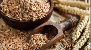 الارز الشعير 1