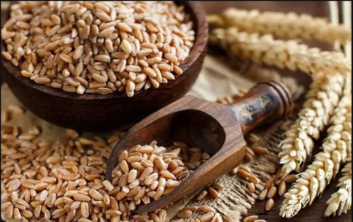 أشتري ومتستناش .. سعر طن الأرز الشعير اليوم الثلاثاء 16-12-2025 في الاسواق