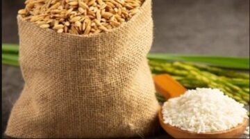 الارز الشعير 2