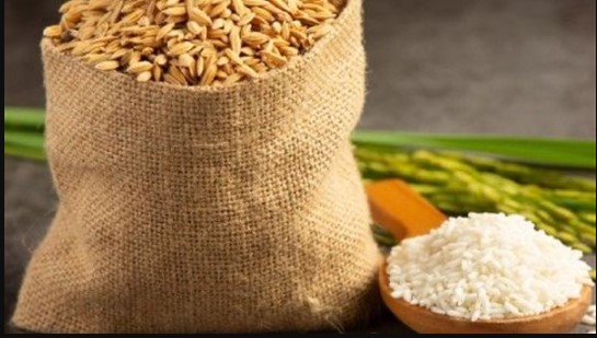 المؤشر يٌحدد سعر طن الأرز الشعير اليوم السبت 27 ديسمبر 2025 في مصر