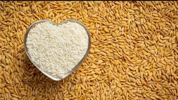 جولـة فـ السوق .. سعر طن الأرز الشعير اليوم الاحد 21-12-2025