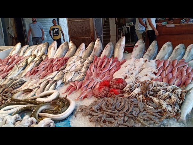 تغـــير طفيــف .. أسعار السمك في سوق العبور اليوم الثلاثاء 16 ديسمبر 2025