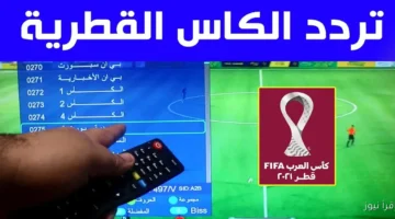 تردد قناة الكأس 1