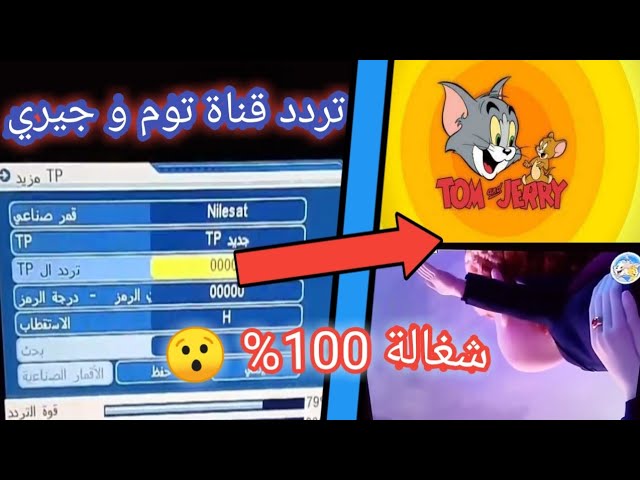 تردد قناة توم وجيري 2026 الجديد Tom And Jerry أحدث تردد للأطفال على النايل سات وعرب سات