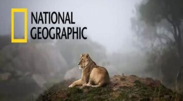 تردد قناة ناشيونال جيوغرافيك 2026 علي نايل سات