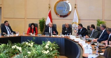 تشكيل لجنة حكومية لدراسة أسباب التشوهات الجمركية وتأثيرها على الصناعة