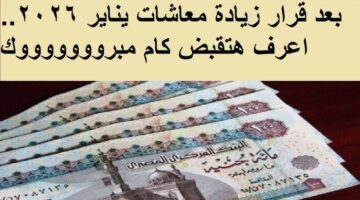 تفاصيل زيادة المعاشات يناير 2026
