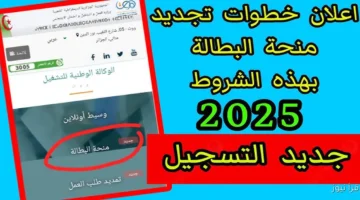 رابط تجديد منحة البطالة في الجزائر 2025