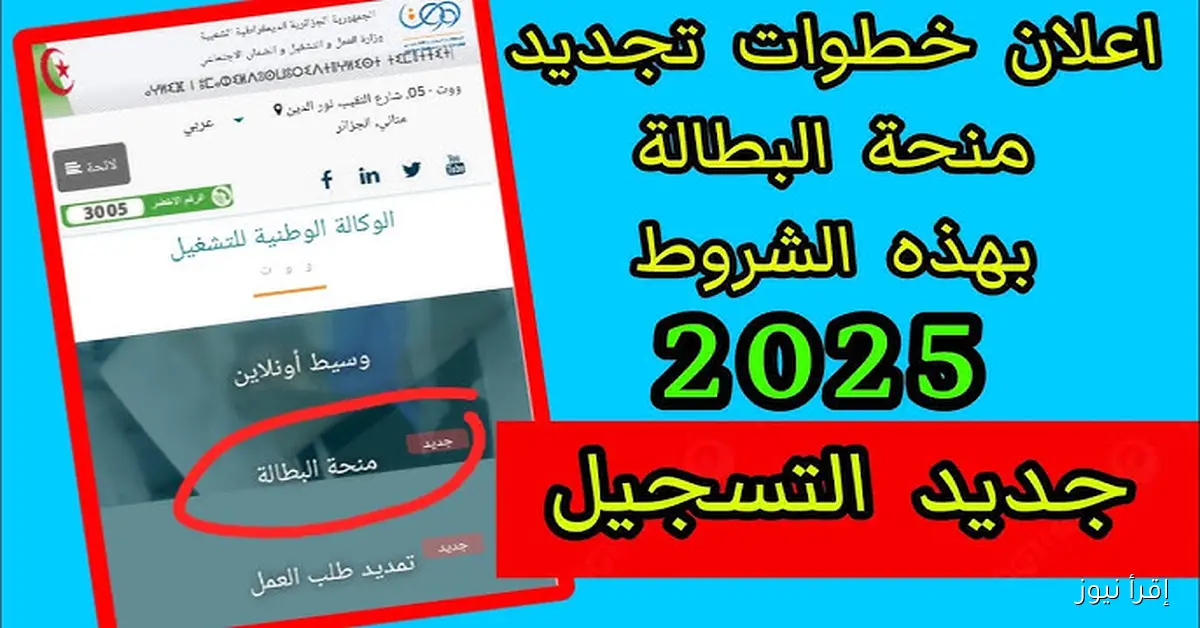 جدد الأن .. رابط تجديد منحة البطالة في الجزائر 2025 عبر موقع www.anem.dz وشروط الأستفادة