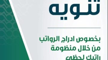 راتبك لحظي 1