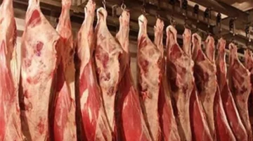 زيادة أسعار اللحوم والعدس والجبن في الأسواق اليوم الثلاثاء.webp