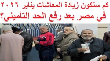 زيادة المعاشات يناير 2026 1