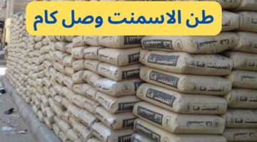 سعر الأسمنت اليوم