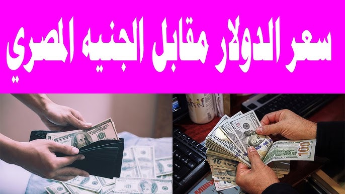 سعر الدولار اليوم في السوق السوداء الثلاثاء 23 ديسمبر 2025 مقابل الجنيه المصري وفي البنوك