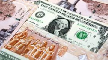 سعر الدولار اليوم مقابل الجنية المصري