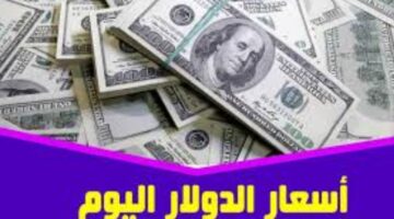 سعر الدولار في السوق السوداء اليوم 7