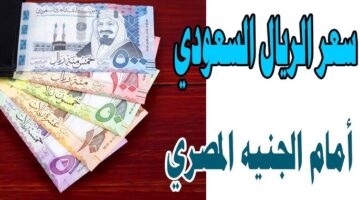 سعر الريال السعودي اليوم