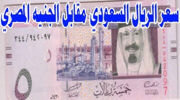 سعر الريال السعودي مقابل الجنيه المصري اليوم
