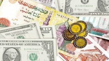 سعر العملات الأجنبية مقابل الجنيه في البنوك المصرية يحقق استقراراً