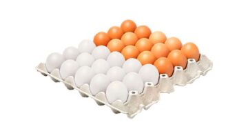 سعر الفراخ اليوم