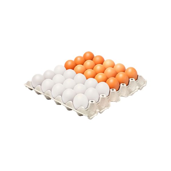 يترفع أم ينخفض؟! .. سعر طبق البيض اليوم الاثنين 8-12-2025 في الاسواق