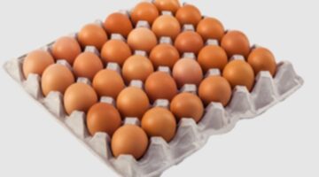 سعر طبق البيض اليوم 3